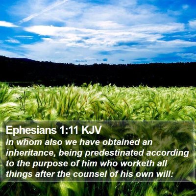 Ephesians 1:11 KJV Bible Verse Image