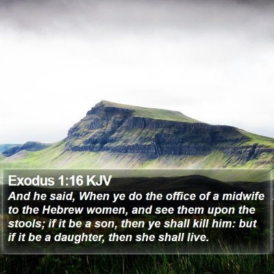 Exodus 1:16 KJV Bible Verse Image