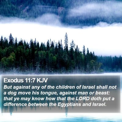 Exodus 11:7 KJV Bible Verse Image