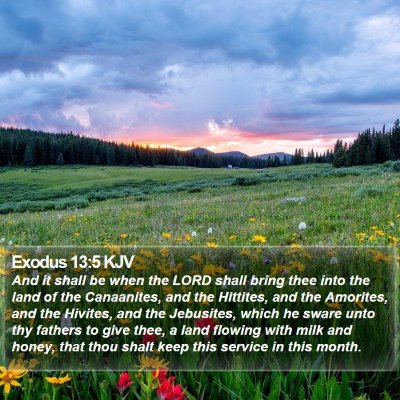 Exodus 13:5 KJV Bible Verse Image