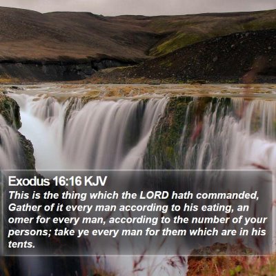Exodus 16:16 KJV Bible Verse Image