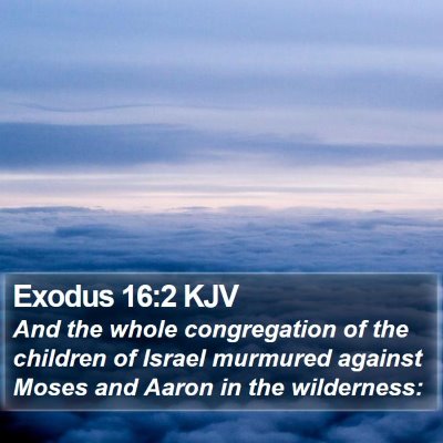 Exodus 16:2 KJV Bible Verse Image