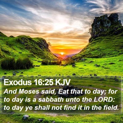 Exodus 16:25 KJV Bible Verse Image