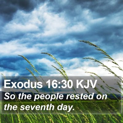 Exodus 16:30 KJV Bible Verse Image