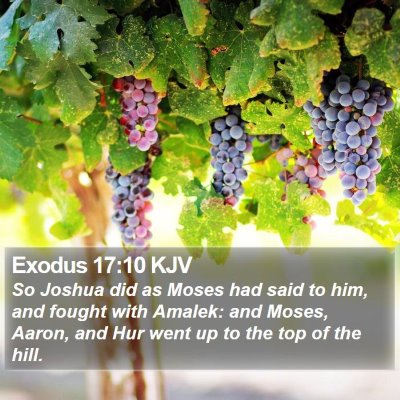 Exodus 17:10 KJV Bible Verse Image