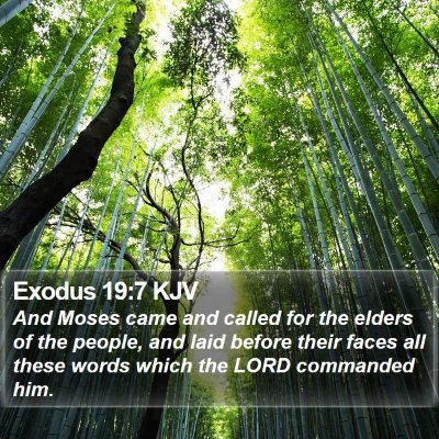 Exodus 19:7 KJV Bible Verse Image