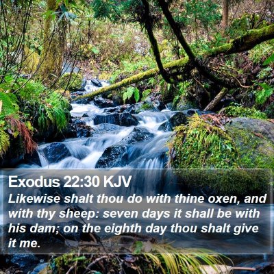 Exodus 22:30 KJV Bible Verse Image