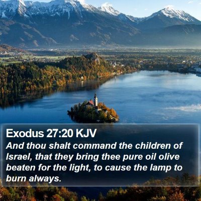 Exodus 27:20 KJV Bible Verse Image