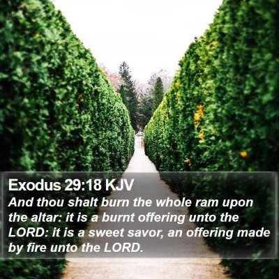 Exodus 29:18 KJV Bible Verse Image