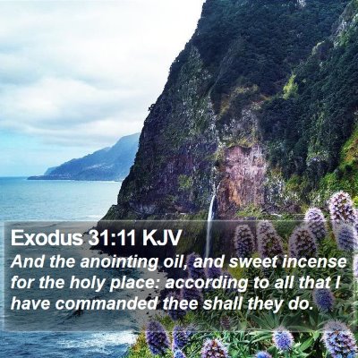 Exodus 31:11 KJV Bible Verse Image