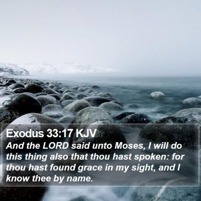 Exodus 33:17 KJV Bible Verse Image