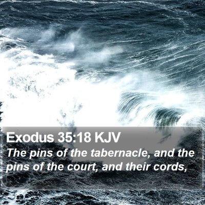 Exodus 35:18 KJV Bible Verse Image
