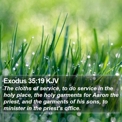 Exodus 35:19 KJV Bible Verse Image