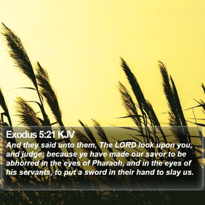 Exodus 5:21 KJV Bible Verse Image