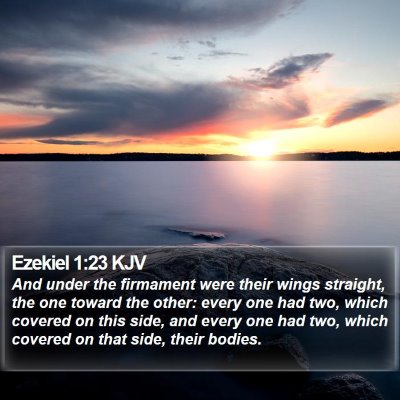 Ezekiel 1:23 KJV Bible Verse Image