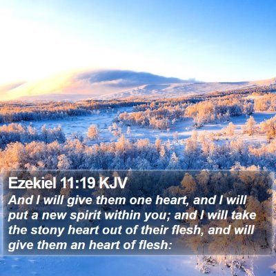 Ezekiel 11:19 KJV Bible Verse Image