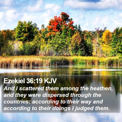 Ezekiel 36:19 KJV Bible Verse Image