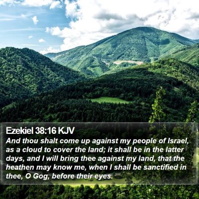 Ezekiel 38:16 KJV Bible Verse Image
