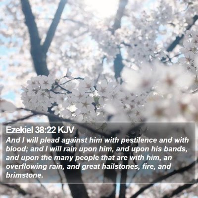 Ezekiel 38:22 KJV Bible Verse Image