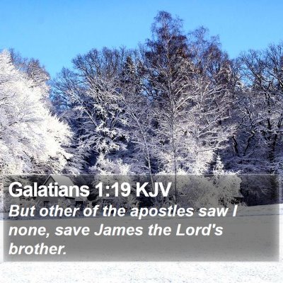 Galatians 1:19 KJV Bible Verse Image