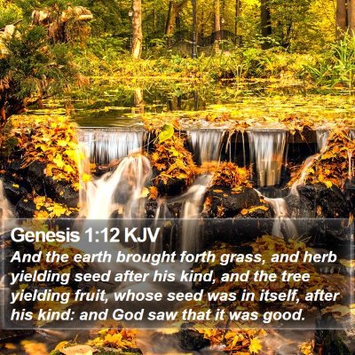 Genesis 1:12 KJV Bible Verse Image