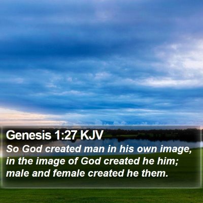 Genesis 1:27 KJV Bible Verse Image