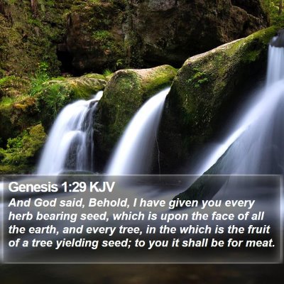 Genesis 1:29 KJV Bible Verse Image