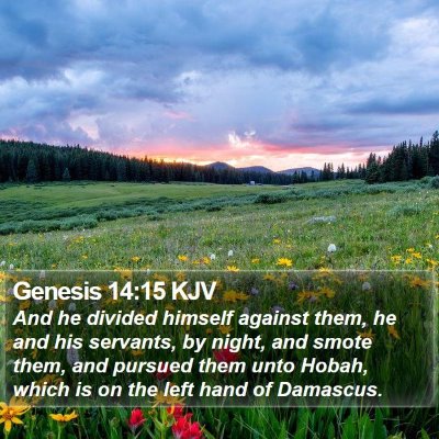 Genesis 14:15 KJV Bible Verse Image