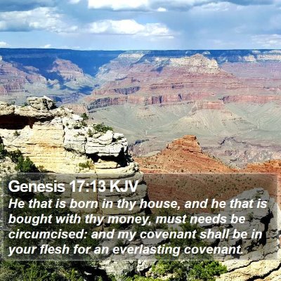 Genesis 17:13 KJV Bible Verse Image