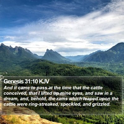 Genesis 31:10 KJV Bible Verse Image