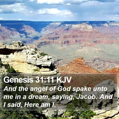 Genesis 31:11 KJV Bible Verse Image