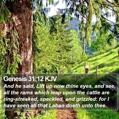 Genesis 31:12 KJV Bible Verse Image