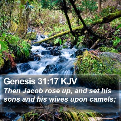 Genesis 31:17 KJV Bible Verse Image