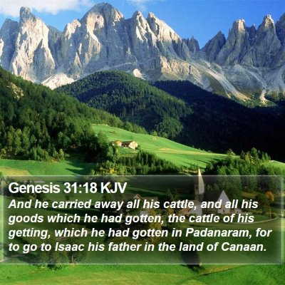 Genesis 31:18 KJV Bible Verse Image