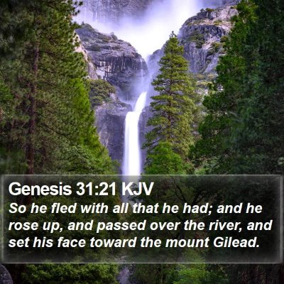 Genesis 31:21 KJV Bible Verse Image