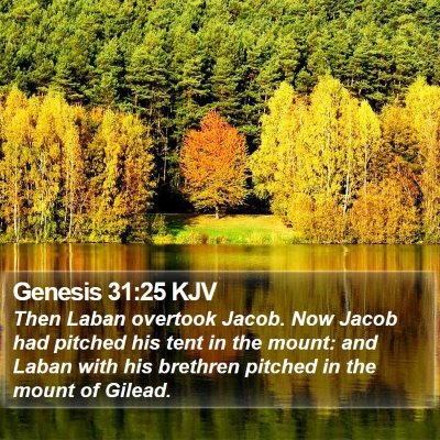 Genesis 31:25 KJV Bible Verse Image