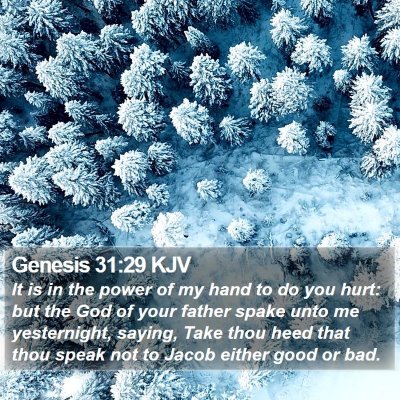 Genesis 31:29 KJV Bible Verse Image