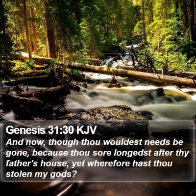 Genesis 31:30 KJV Bible Verse Image