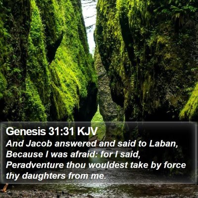 Genesis 31:31 KJV Bible Verse Image