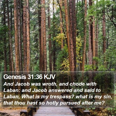 Genesis 31:36 KJV Bible Verse Image