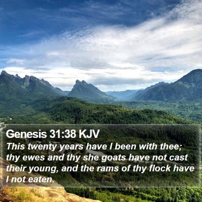 Genesis 31:38 KJV Bible Verse Image