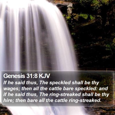 Genesis 31:8 KJV Bible Verse Image