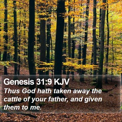Genesis 31:9 KJV Bible Verse Image