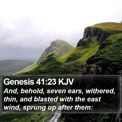 Genesis 41:23 KJV Bible Verse Image