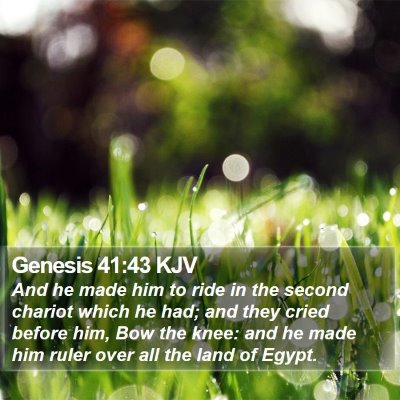 Genesis 41:43 KJV Bible Verse Image