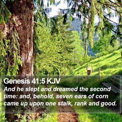 Genesis 41:5 KJV Bible Verse Image