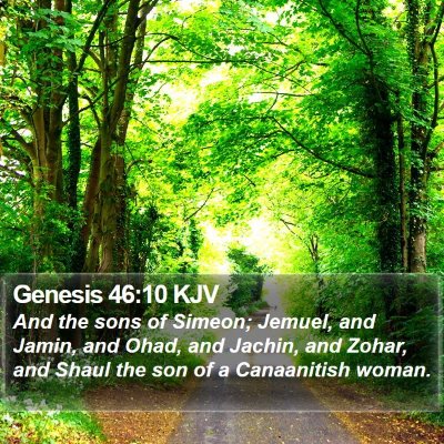 Genesis 46:10 KJV Bible Verse Image