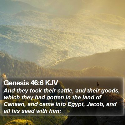 Genesis 46:6 KJV Bible Verse Image