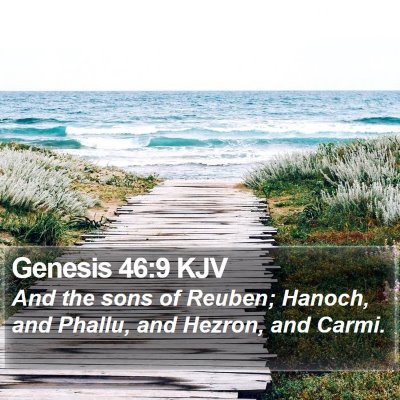 Genesis 46:9 KJV Bible Verse Image