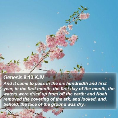 Genesis 8:13 KJV Bible Verse Image